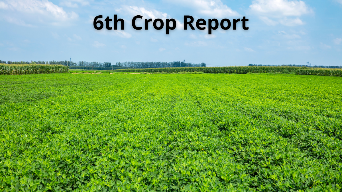 6th Crop Report as of 20 April